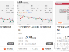 蹭熱點(diǎn)，坑國(guó)資，90億光伏項(xiàng)目爛尾，“畫(huà)餅大師”訴訟壓頂