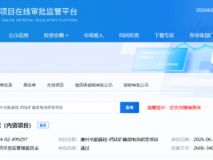 總投資1億元！一晶硅-鈣鈦礦疊層電池項(xiàng)目完成備案